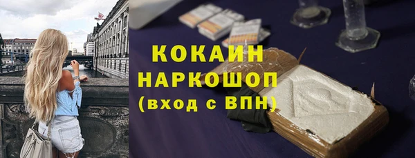 тгк Алексин