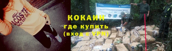 тгк Алексин