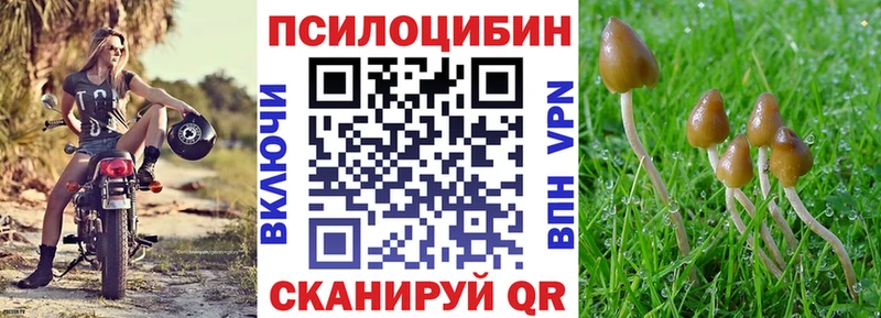 Псилоцибиновые грибы MAGIC MUSHROOMS Саки